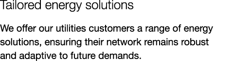 Tailored energy solutions We offer our utilities customers a range of energy solutions, ensuring their network remain...