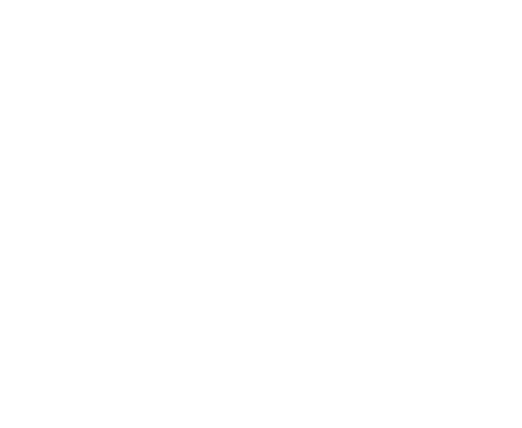 Pillars for success Expertise plus innovation equals a powerful integration journey • Enabling reliable renewable int...