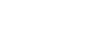 Digitally enabled services